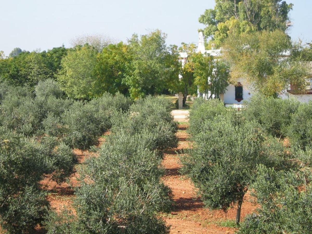Hacienda Chambergo Casa En La Campina Sevillana 埃希哈 外观 照片